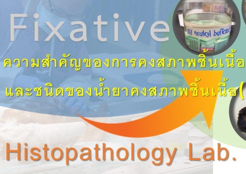 ความสำคัญของการคงสภาพชิ้นเนื้อและชนิดของน้ำยาคงสภาพชิ้นเนื้อ (Fixative)