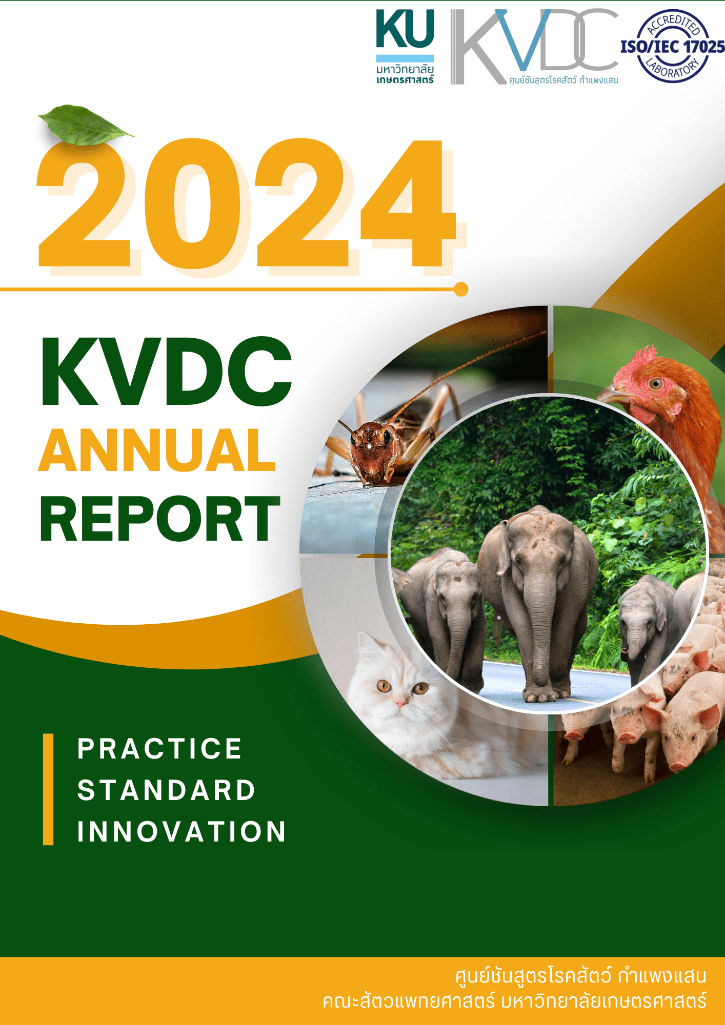 Annual Report 2024 Cover