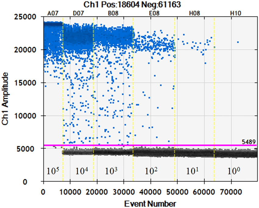 ตัวอย่างผลการอ่านสัญญาณ ddPCR แบบ positive และ negative droplets